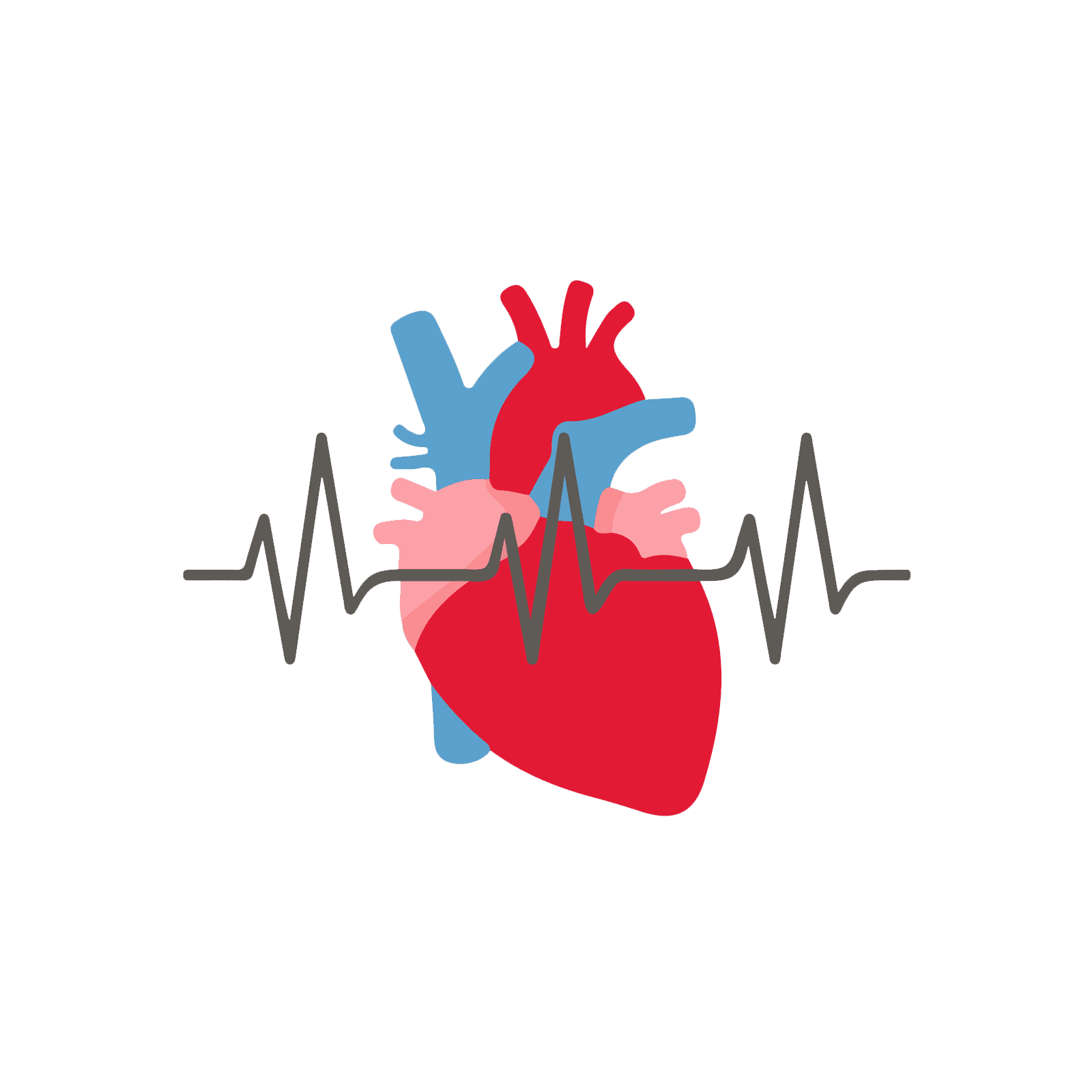 Cardiac Arrest Illustration- Image credit Heart Foundation .org